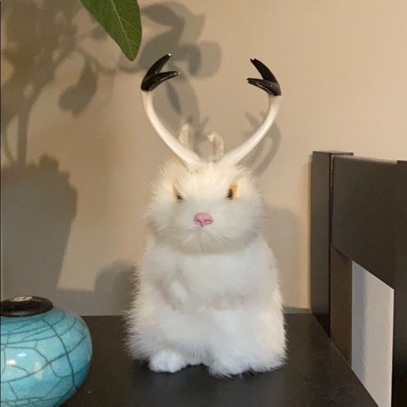 Rabbit fur Jackalope. - Picture 1 of 5